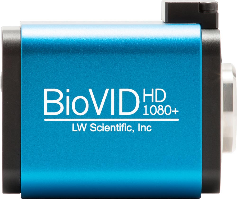 BioVID Microscope Camera