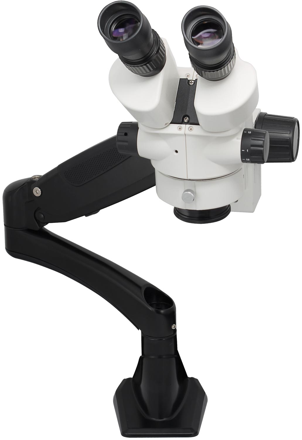 3072 StereoMicroscope from ACCU-SCOPE